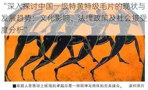 “深入探讨中国一级特黄特级毛片的现状与发展趋势:文化影响、法律政策及社会接受度分析”