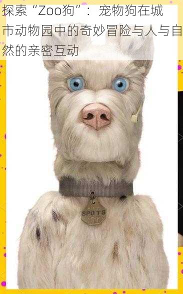 探索“Zoo狗”:宠物狗在城市动物园中的奇妙冒险与人与自然的亲密互动