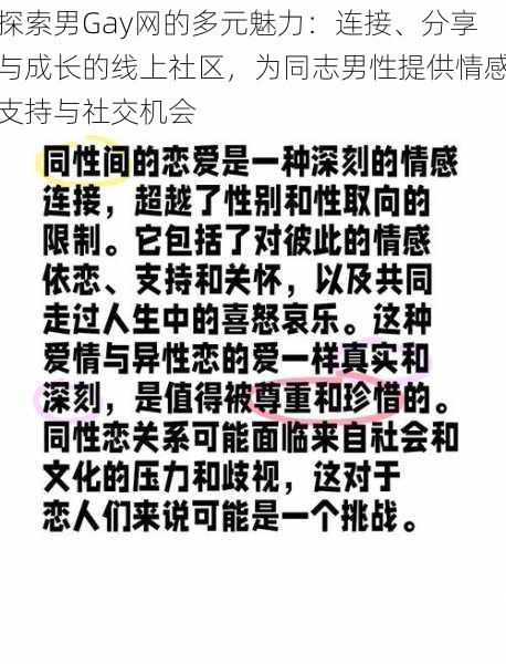 探索男Gay网的多元魅力:连接、分享与成长的线上社区,为同志男性提供情感支持与社交机会