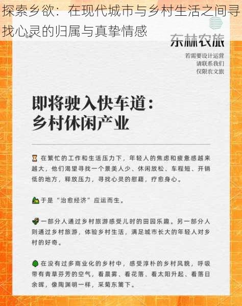 探索乡欲:在现代城市与乡村生活之间寻找心灵的归属与真挚情感