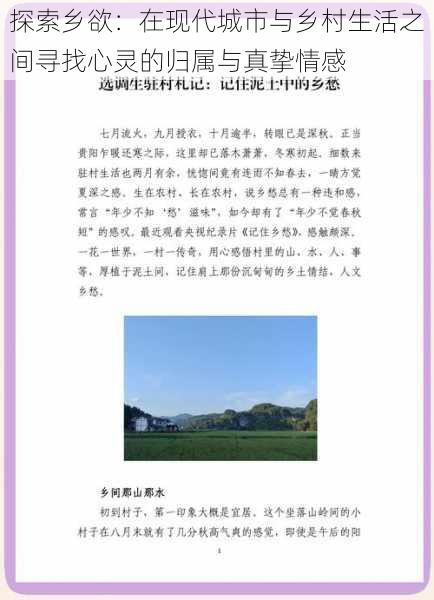 探索乡欲:在现代城市与乡村生活之间寻找心灵的归属与真挚情感