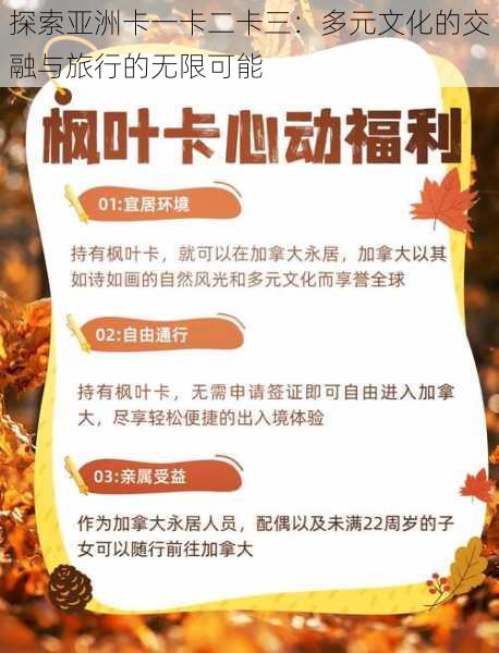 探索亚洲卡一卡二卡三:多元文化的交融与旅行的无限可能