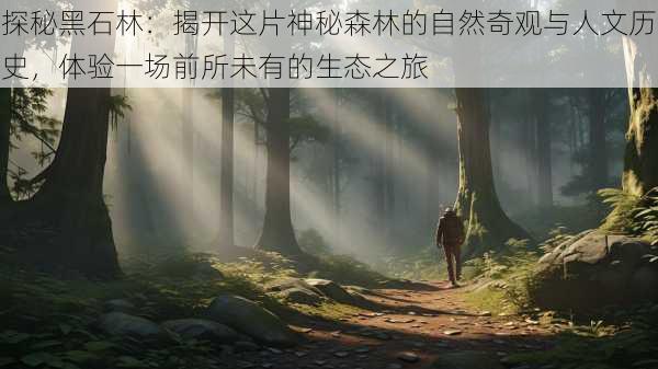 探秘黑石林:揭开这片神秘森林的自然奇观与人文历史,体验一场前所未有的生态之旅