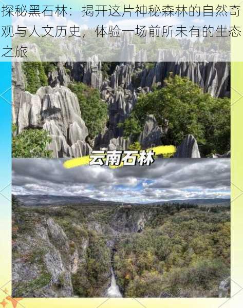 探秘黑石林:揭开这片神秘森林的自然奇观与人文历史,体验一场前所未有的生态之旅