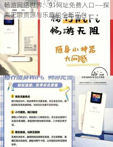 畅游网络世界:91网址免费入口——探索无限资源与乐趣的全新平台