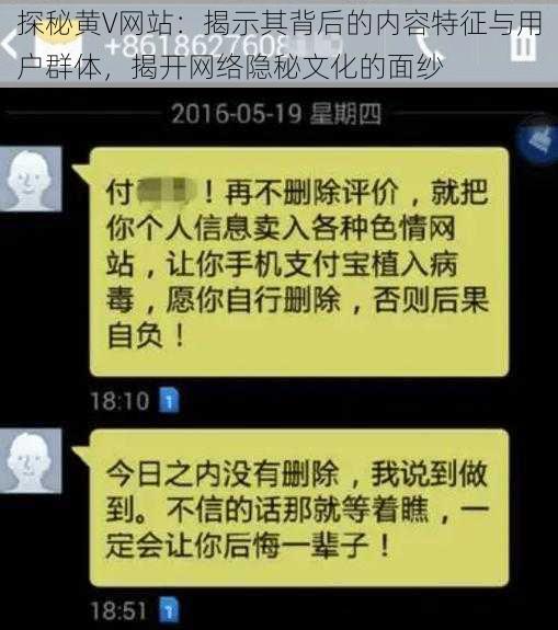 探秘黄V网站:揭示其背后的内容特征与用户群体,揭开网络隐秘文化的面纱