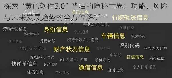 探索“黄色软件3.0”背后的隐秘世界：功能、风险与未来发展趋势的全方位解析