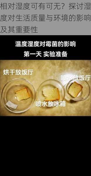 相对湿度可有可无?探讨湿度对生活质量与环境的影响及其重要性