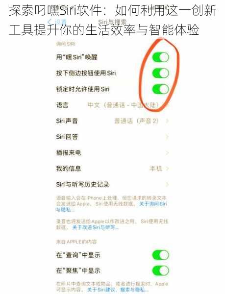 探索叼嘿Siri软件:如何利用这一创新工具提升你的生活效率与智能体验