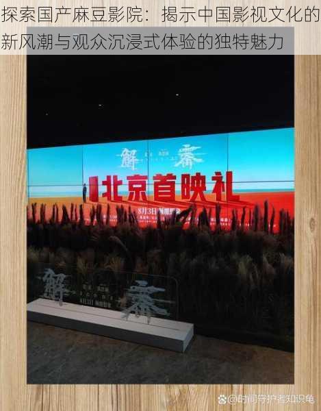 探索国产麻豆影院：揭示中国影视文化的新风潮与观众沉浸式体验的独特魅力