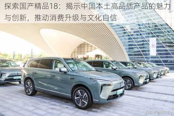 探索国产精品18：揭示中国本土高品质产品的魅力与创新，推动消费升级与文化自信