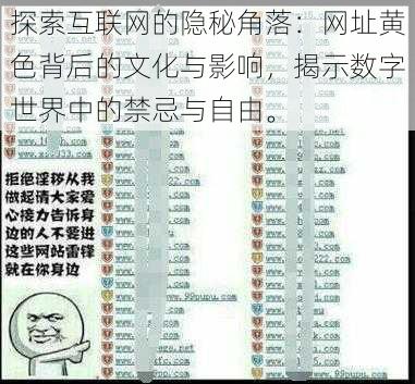 探索互联网的隐秘角落:网址黄色背后的文化与影响,揭示数字世界中的禁忌与自由。