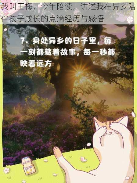我叫王梅，今年陪读，讲述我在异乡陪伴孩子成长的点滴经历与感悟