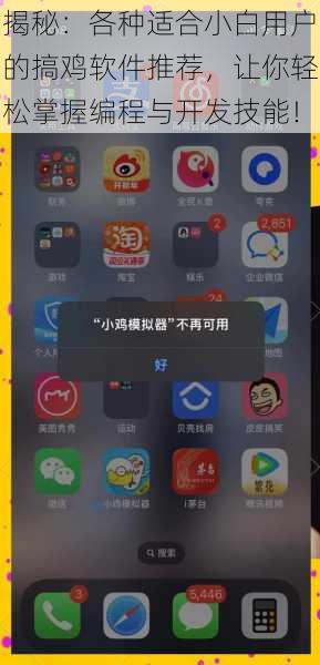 揭秘:各种适合小白用户的搞鸡软件推荐,让你轻松掌握编程与开发技能!