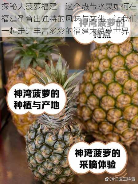 探秘大菠萝福建：这个热带水果如何在福建孕育出独特的风味与文化，让我们一起走进丰富多彩的福建大菠萝世界
