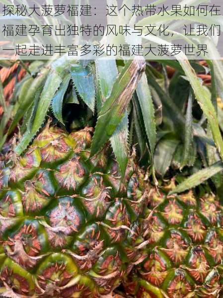 探秘大菠萝福建：这个热带水果如何在福建孕育出独特的风味与文化，让我们一起走进丰富多彩的福建大菠萝世界