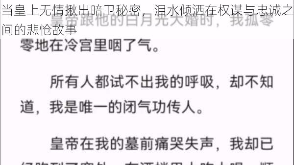 当皇上无情揪出暗卫秘密，泪水倾洒在权谋与忠诚之间的悲怆故事