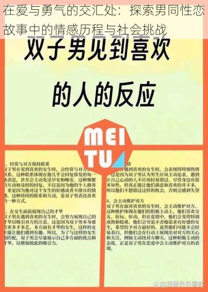 在爱与勇气的交汇处：探索男同性恋故事中的情感历程与社会挑战