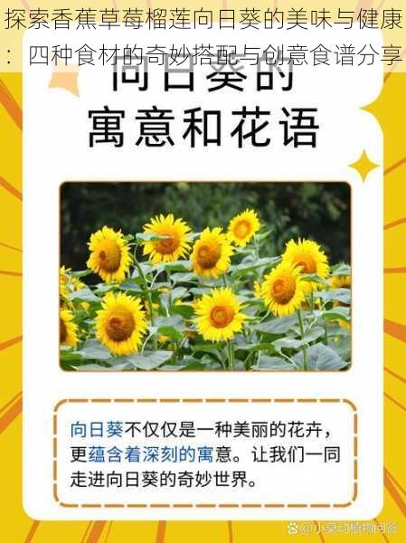 探索香蕉草莓榴莲向日葵的美味与健康：四种食材的奇妙搭配与创意食谱分享