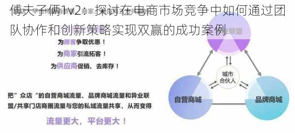 傅夫子俩1v2：探讨在电商市场竞争中如何通过团队协作和创新策略实现双赢的成功案例