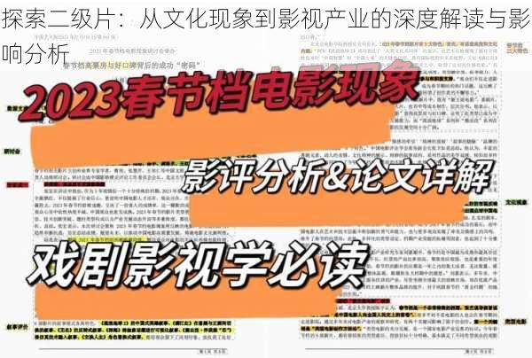 探索二级片：从文化现象到影视产业的深度解读与影响分析