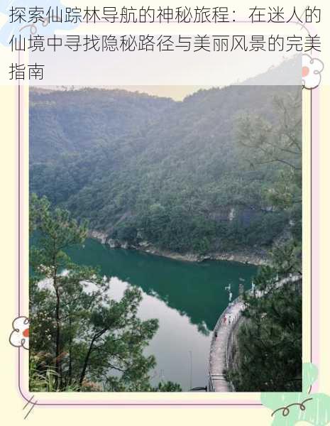 探索仙踪林导航的神秘旅程:在迷人的仙境中寻找隐秘路径与美丽风景的完美指南