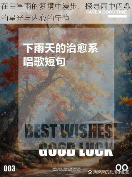 在白星雨的梦境中漫步:探寻雨中闪烁的星光与内心的宁静