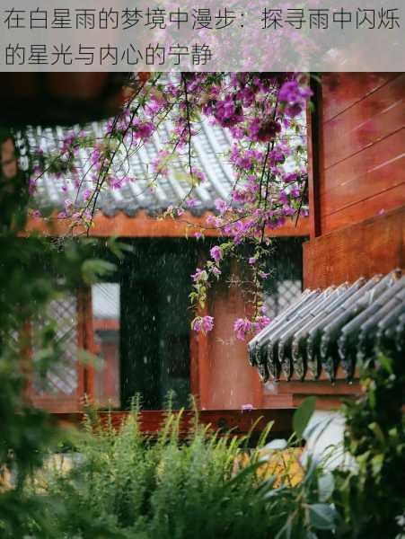 在白星雨的梦境中漫步:探寻雨中闪烁的星光与内心的宁静