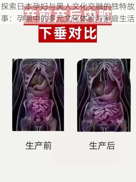 探索日本孕妇与黑人文化交融的独特故事:孕期中的多元文化体验与家庭生活
