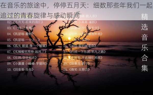 在音乐的旅途中,停停五月天:细数那些年我们一起追过的青春旋律与感动瞬间