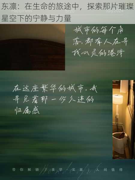 东凛:在生命的旅途中,探索那片璀璨星空下的宁静与力量