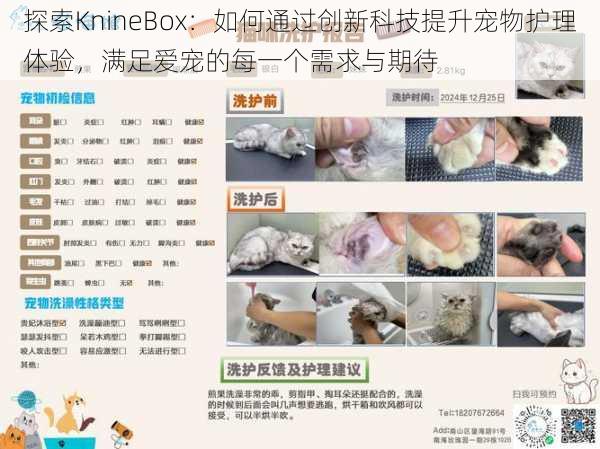 探索KnineBox:如何通过创新科技提升宠物护理体验,满足爱宠的每一个需求与期待