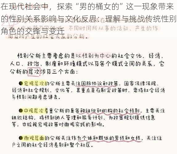 在现代社会中,探索“男的桶女的”这一现象带来的性别关系影响与文化反思:理解与挑战传统性别角色的交锋与变迁