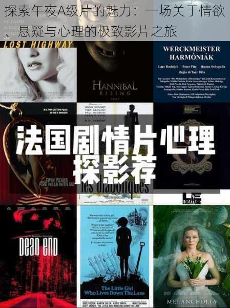 探索午夜A级片的魅力:一场关于情欲、悬疑与心理的极致影片之旅