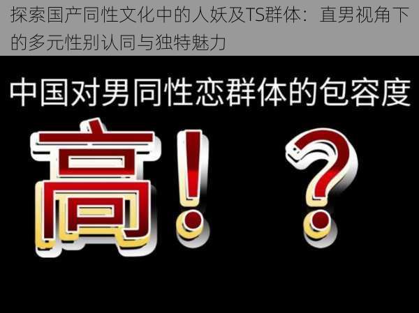 探索国产同性文化中的人妖及TS群体:直男视角下的多元性别认同与独特魅力
