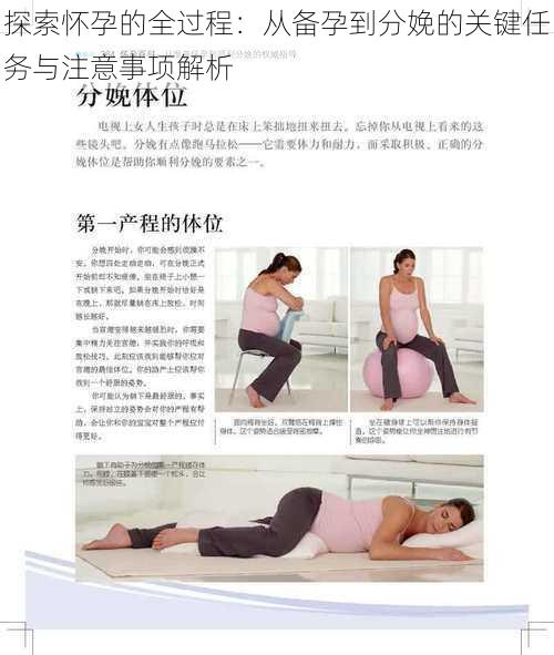 探索怀孕的全过程：从备孕到分娩的关键任务与注意事项解析