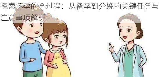 探索怀孕的全过程：从备孕到分娩的关键任务与注意事项解析