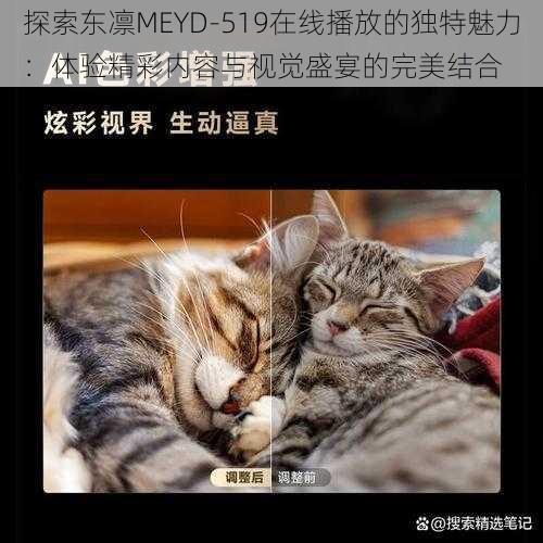 探索东凛MEYD-519在线播放的独特魅力:体验精彩内容与视觉盛宴的完美结合