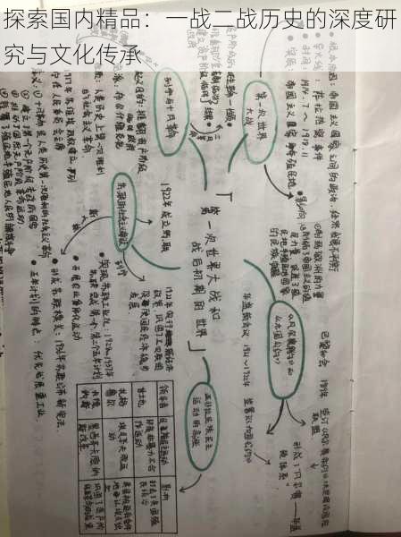 探索国内精品:一战二战历史的深度研究与文化传承