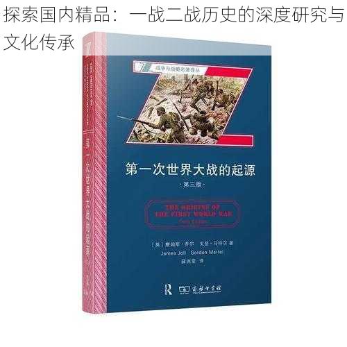 探索国内精品:一战二战历史的深度研究与文化传承