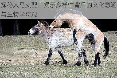 探秘人马交配：揭示多样性背后的文化意涵与生物学奇观