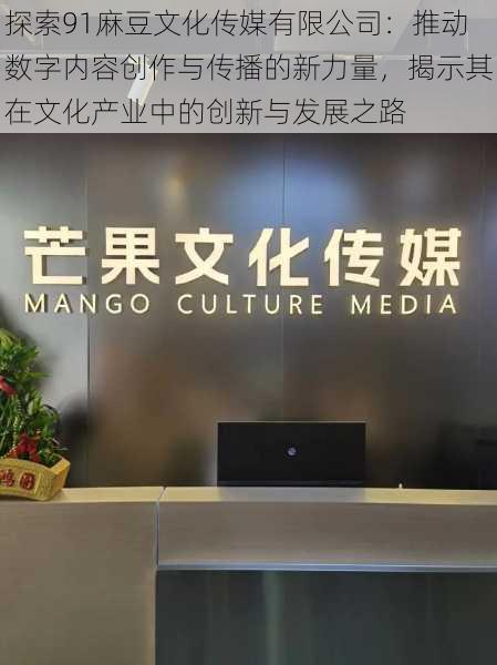探索91麻豆文化传媒有限公司:推动数字内容创作与传播的新力量,揭示其在文化产业中的创新与发展之路