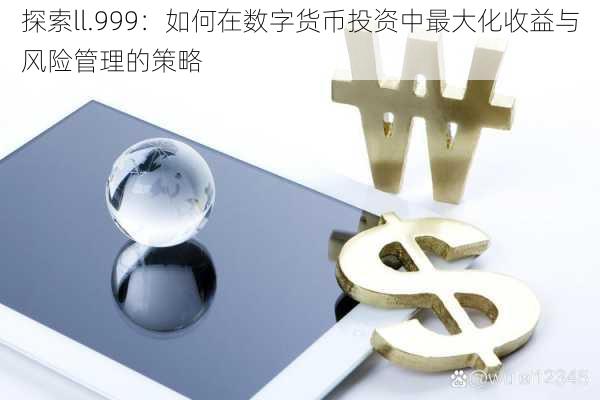 探索ll.999：如何在数字货币投资中最大化收益与风险管理的策略