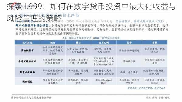 探索ll.999：如何在数字货币投资中最大化收益与风险管理的策略
