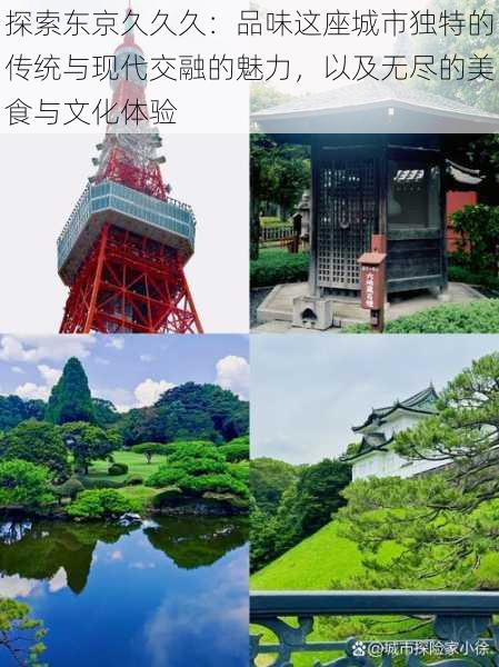 探索东京久久久:品味这座城市独特的传统与现代交融的魅力,以及无尽的美食与文化体验