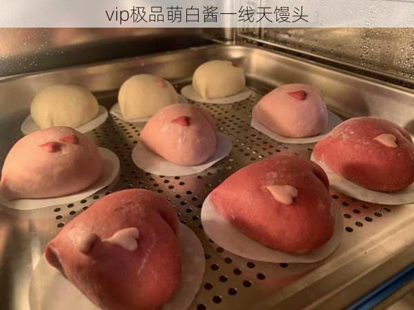 vip极品萌白酱一线天馒头