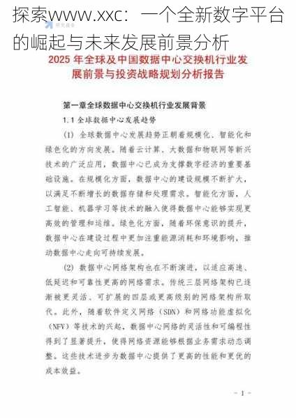 探索www.xxc:一个全新数字平台的崛起与未来发展前景分析