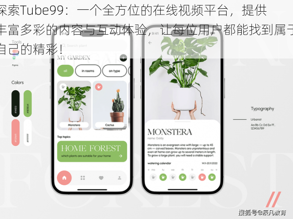 探索Tube99:一个全方位的在线视频平台,提供丰富多彩的内容与互动体验,让每位用户都能找到属于自己的精彩!