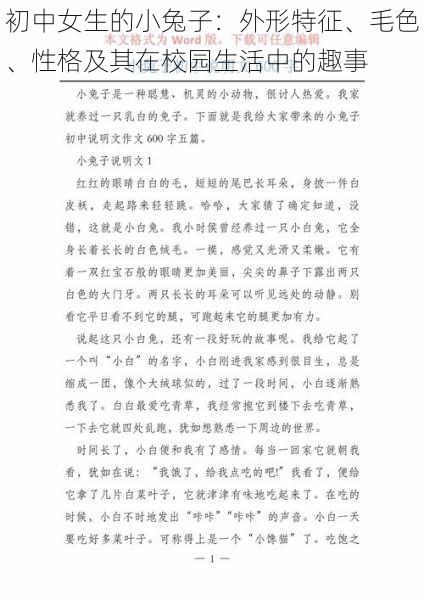 初中女生的小兔子:外形特征、毛色、性格及其在校园生活中的趣事