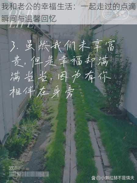 我和老公的幸福生活:一起走过的点滴瞬间与温馨回忆